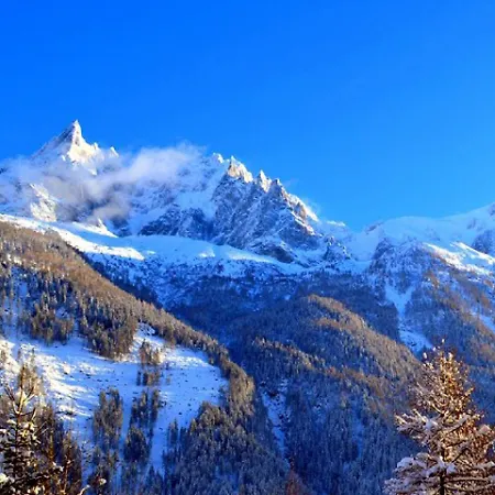 Belgiquec *